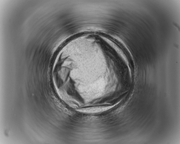 X0000099970783200806131531