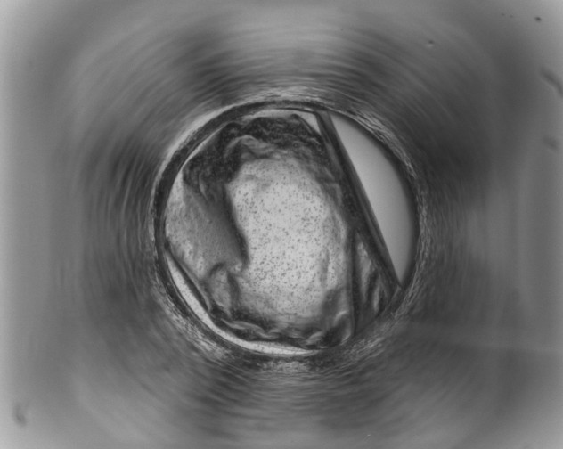 X0000099970784200806131531