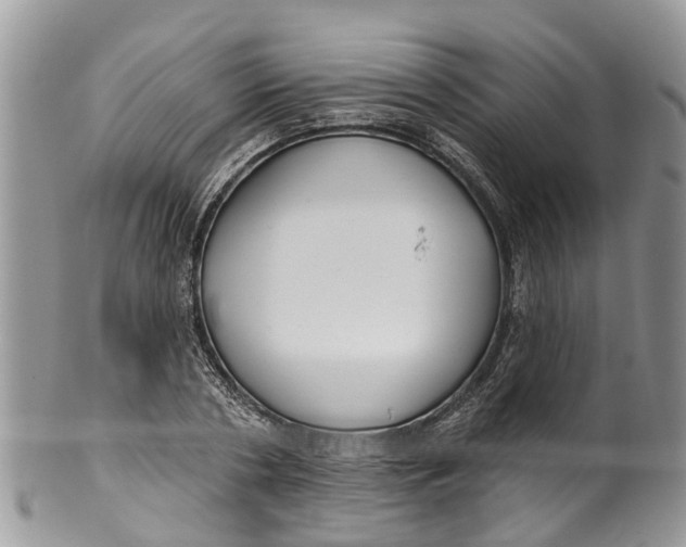 X0000099970786200806131531