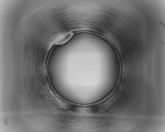 X0000099970789200806131531