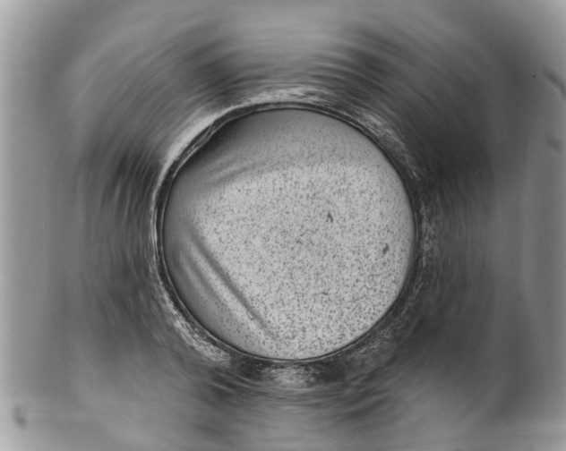 X0000099970792200806131531