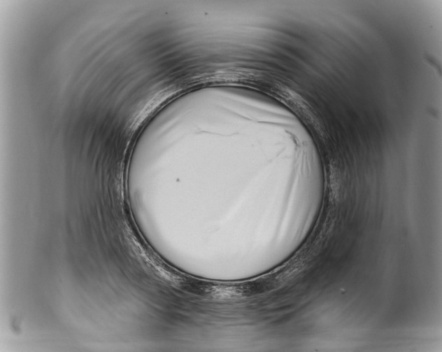 X0000099970794200806131531