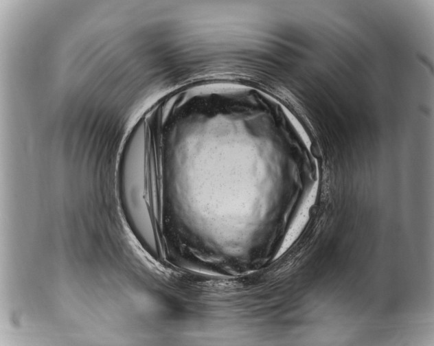 X0000099970795200806131531