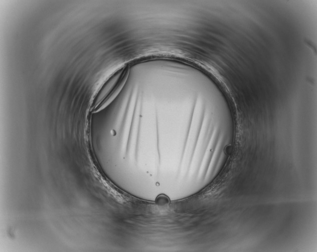 X0000099970799200806131531