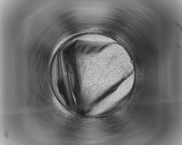 X0000099970800200806131531