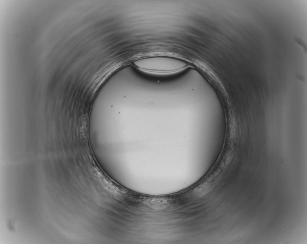 X0000099970801200806131531