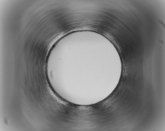 X0000099970805200806131531