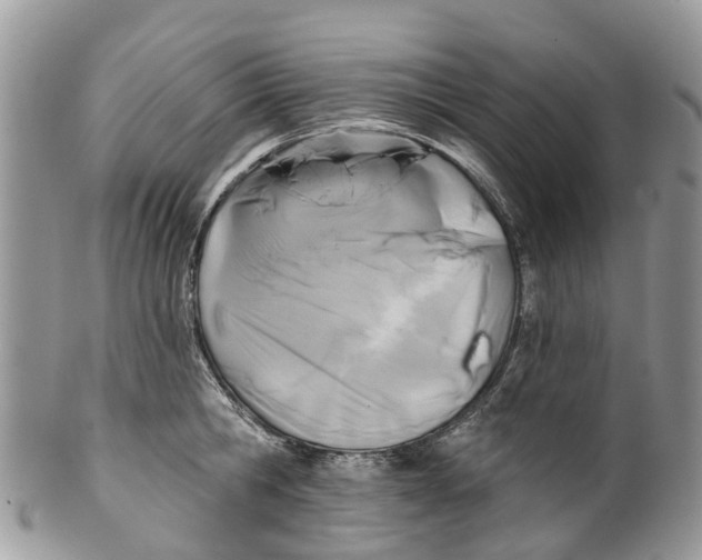 X0000099970806200806131531