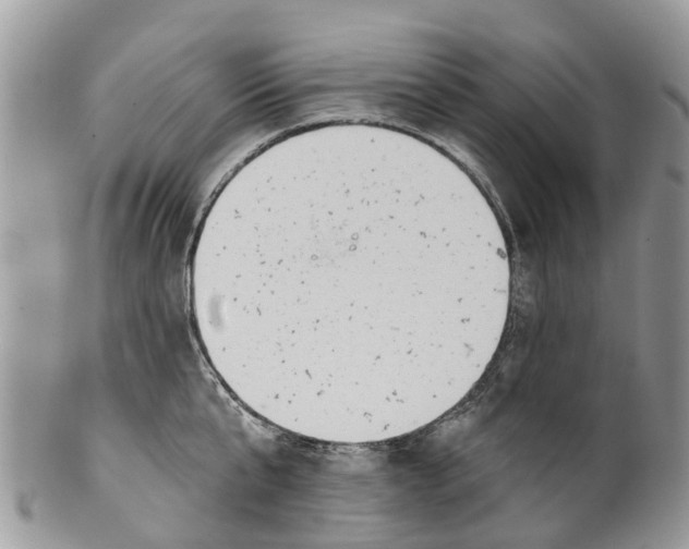 X0000099970807200806131531