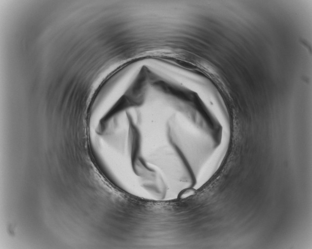 X0000099970808200806131530