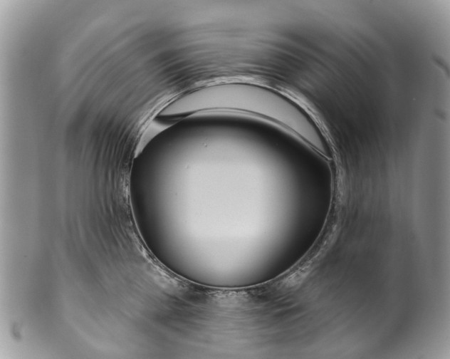 X0000099970809200806131530