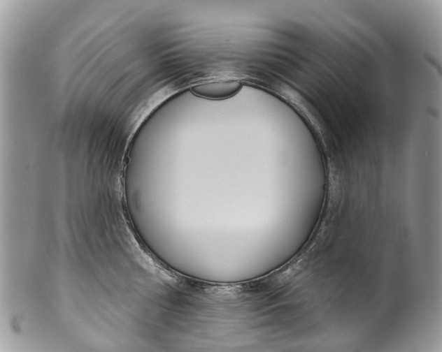 X0000099970810200806131530