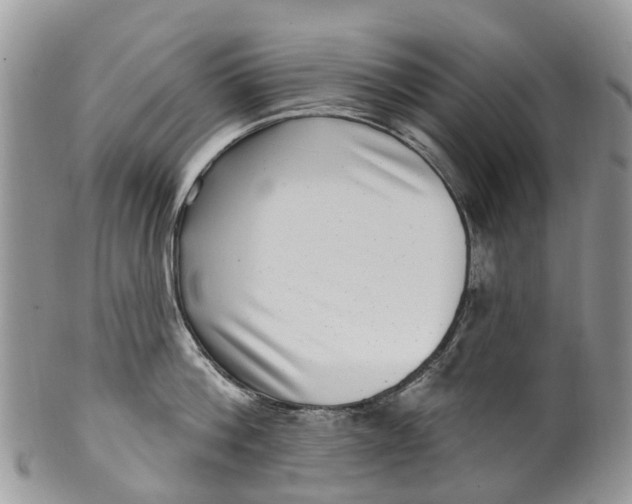 X0000099970812200806131530