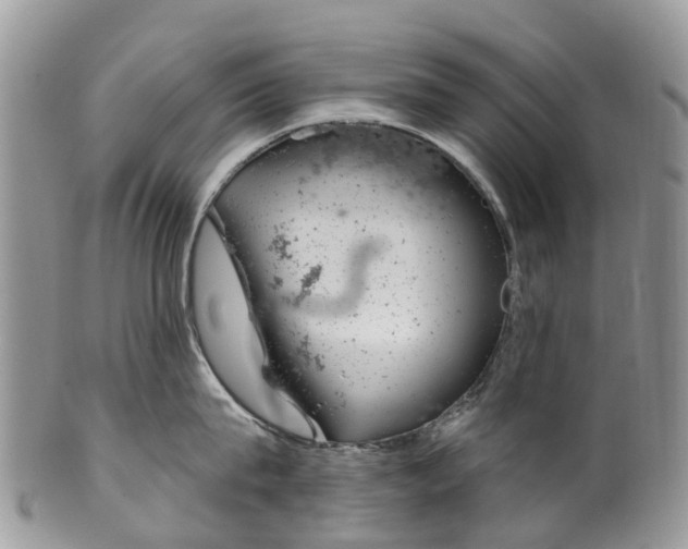 X0000099970815200806131530