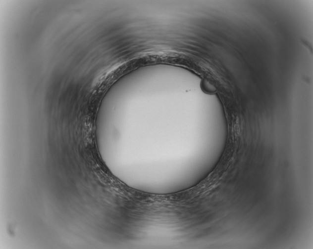 X0000099970822200806131530