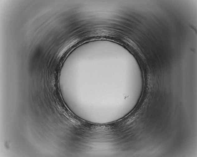 X0000099970826200806131530