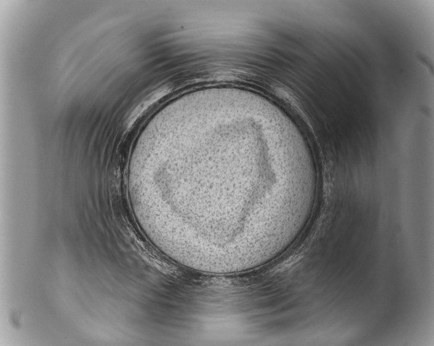 X0000099970827200806131530