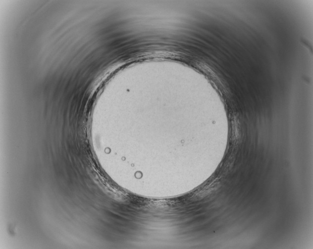 X0000099970828200806131530