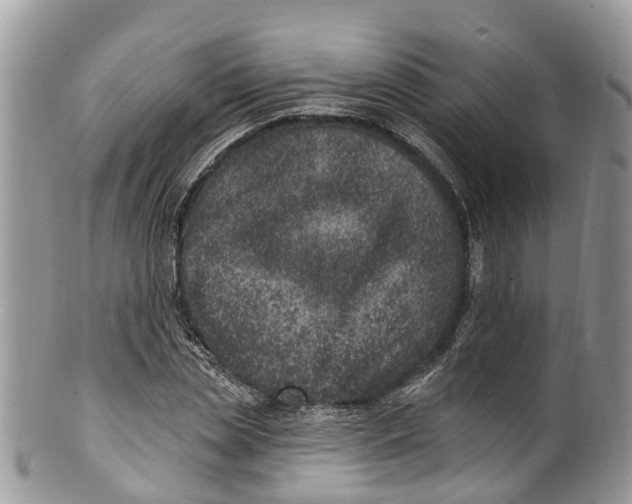 X0000099970829200806131530