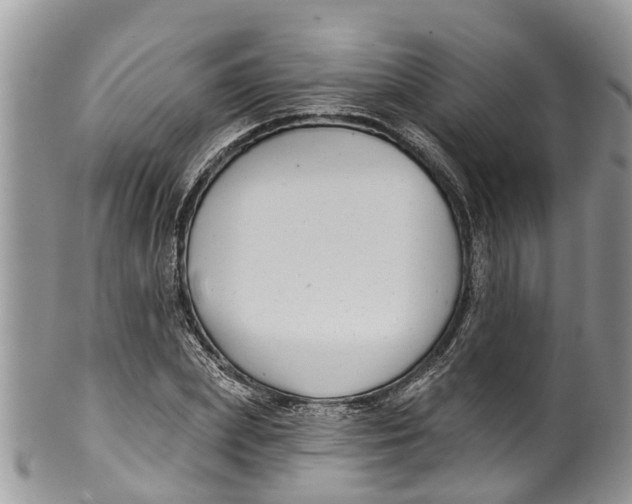 X0000099970831200806131530