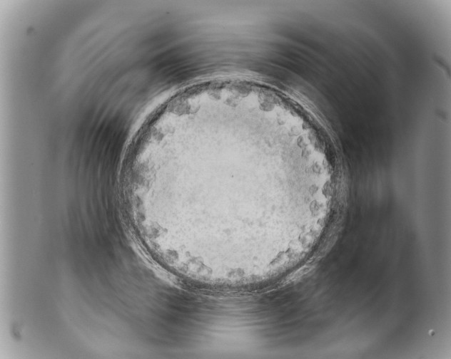 X0000099970832200806131530