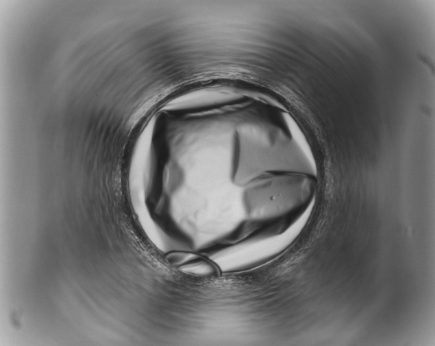 X0000099970834200806131530