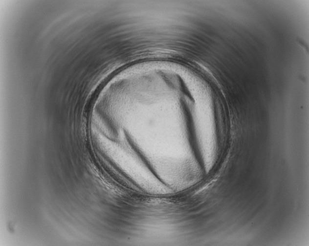 X0000099970835200806131530