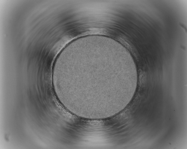 X0000099970836200806131530