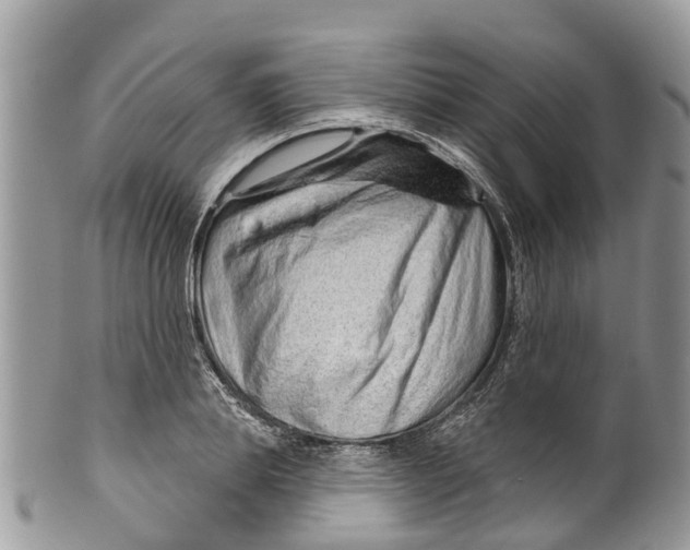 X0000099970839200806131530