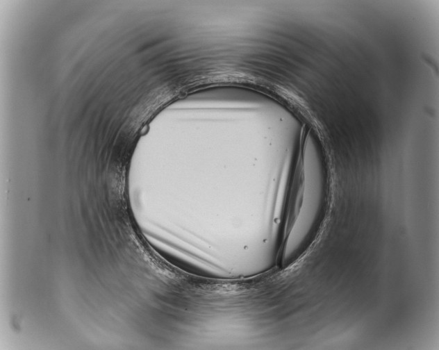 X0000099970841200806131530