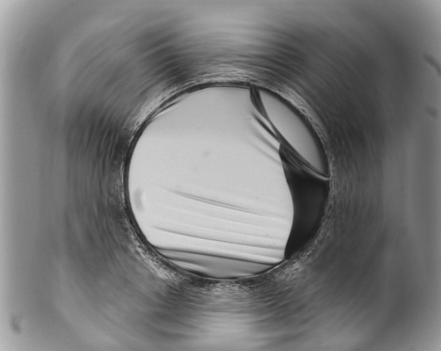 X0000099970842200806131530