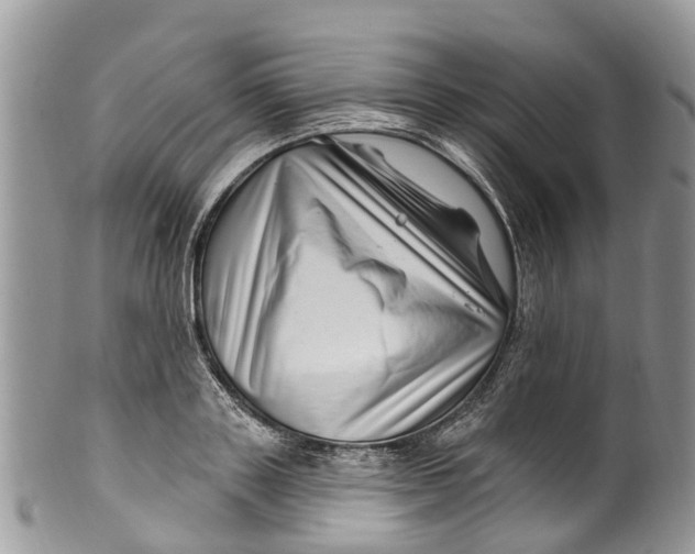 X0000099970843200806131530