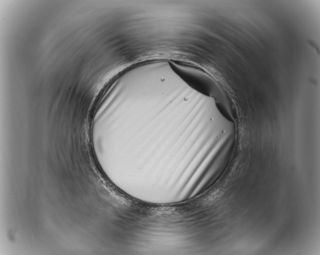 X0000099970846200806131530