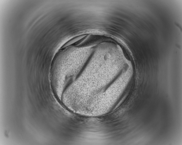 X0000099970847200806131530