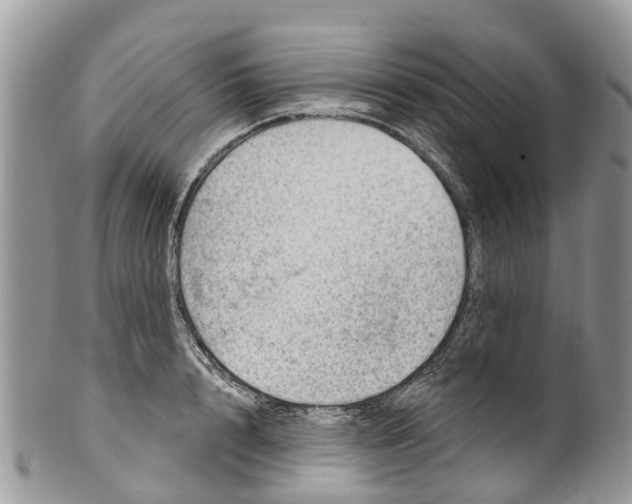 X0000099970848200806131530