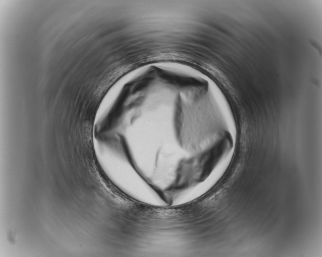 X0000099970849200806131530