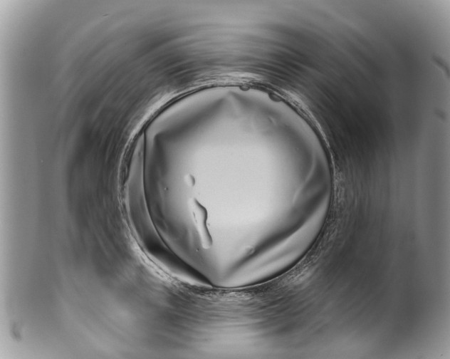 X0000099970851200806131530