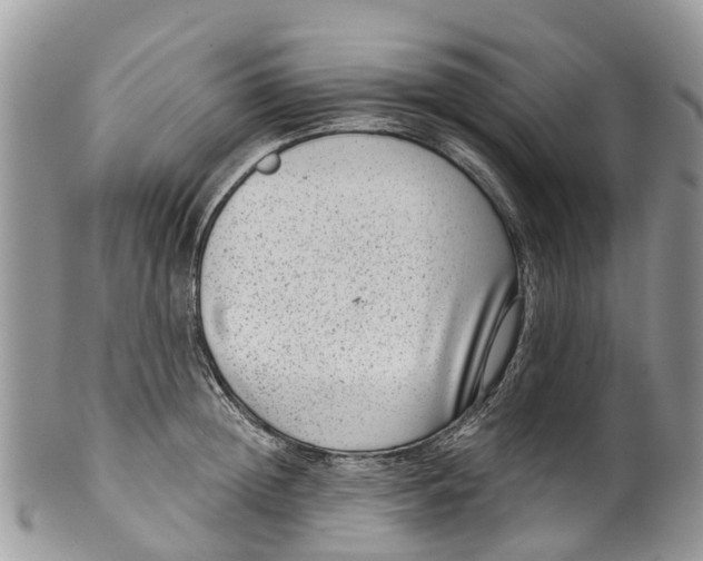 X0000099970852200806131530