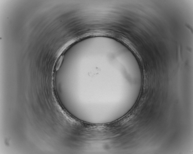 X0000099970853200806131530