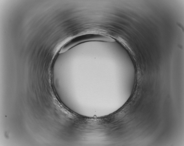 X0000099970854200806131530