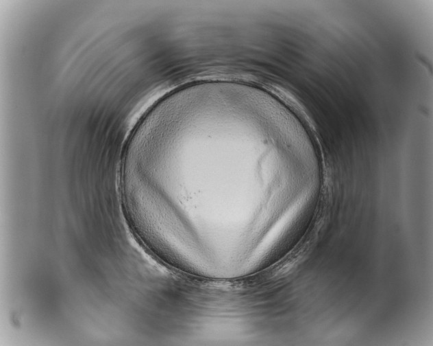 X0000099970855200806131530