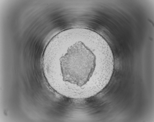 X0000099970856200806131530