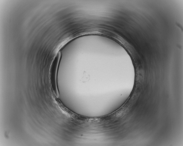 X0000099970858200806131530