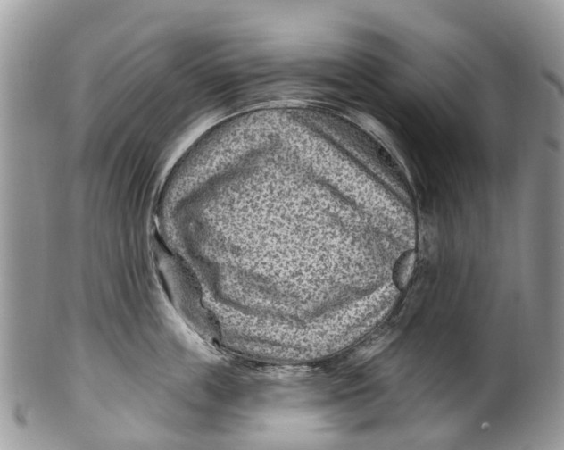 X0000099970859200806131530