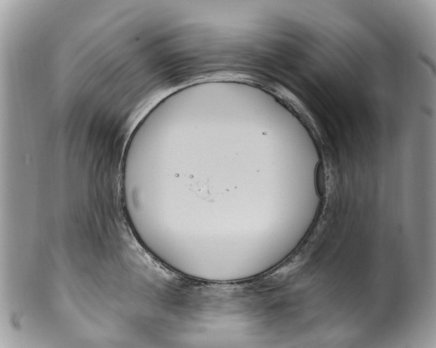 X0000099970860200806131530