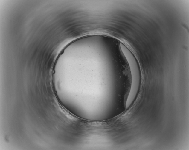 X0000099970862200806131530