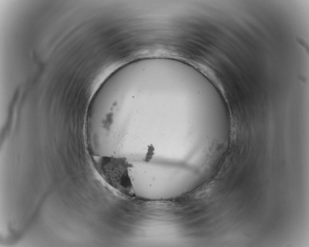 X0000099970863200806131530