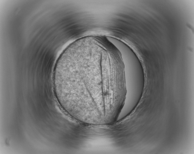 X0000099970864200806131530