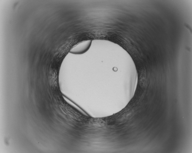 X0000099970866200806131530