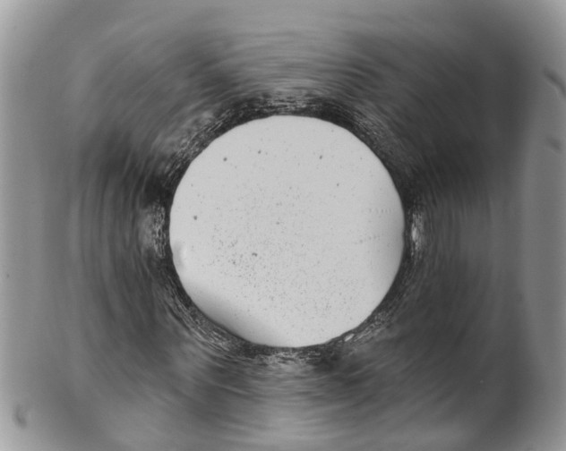 X0000099970867200806131530